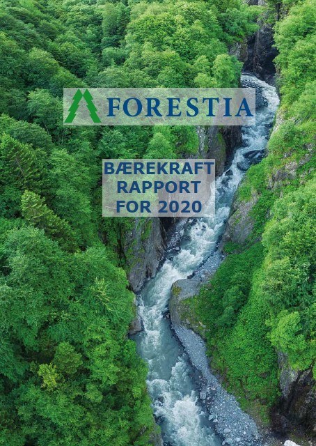 Forsidebilde Forestia bærekraftsrapport 2020.jpg